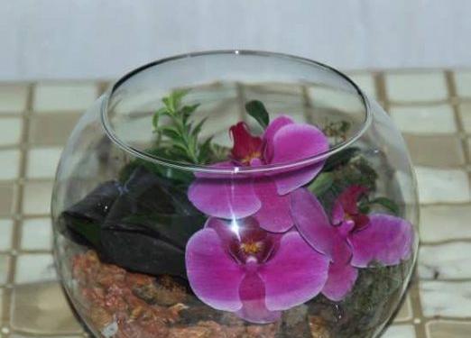 عکس ایده برای گلدانهای زیبا