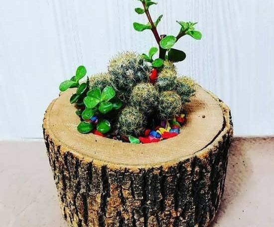 عکس ایده برای گلدانهای زیبا