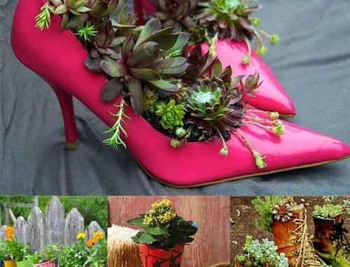 عکس ایده برای گلدانهای زیبا