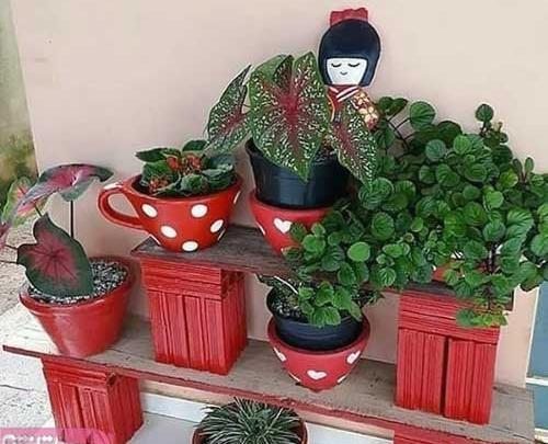 عکس ایده برای گلدانهای زیبا