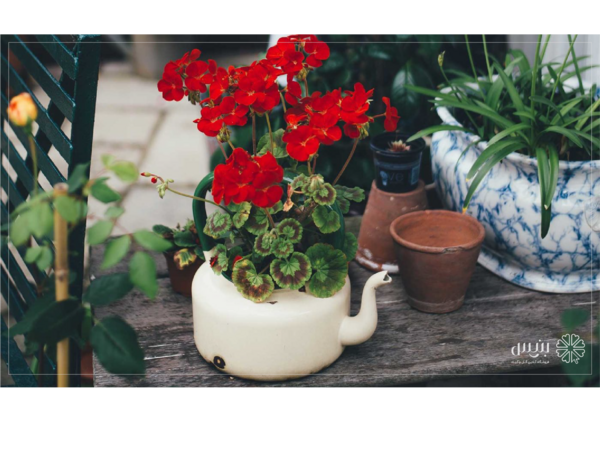عکس ایده برای گلدانهای زیبا