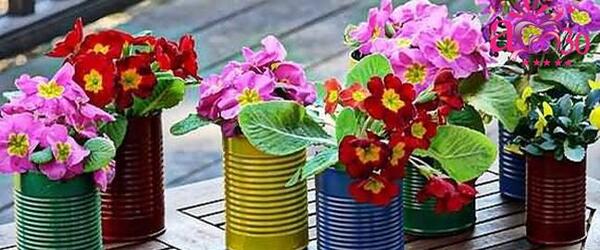عکس ایده برای گلدانهای زیبا