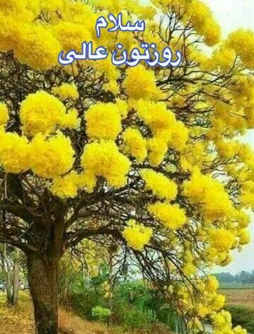 عکس نوشته دلتون شاد لبتون خندون