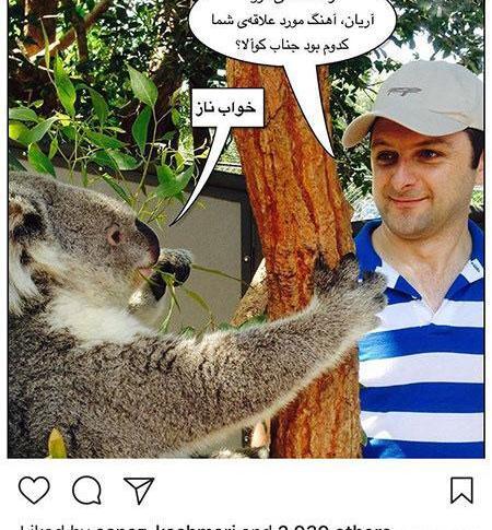 عکس پر لایک ترین