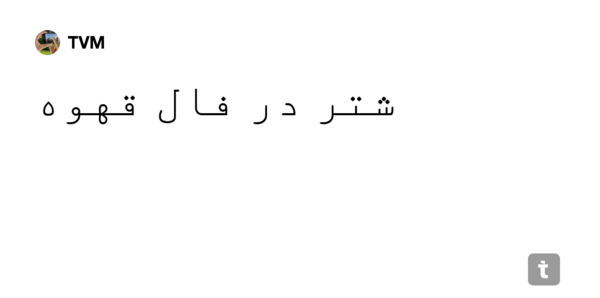 عکس شتر در فال قهوه