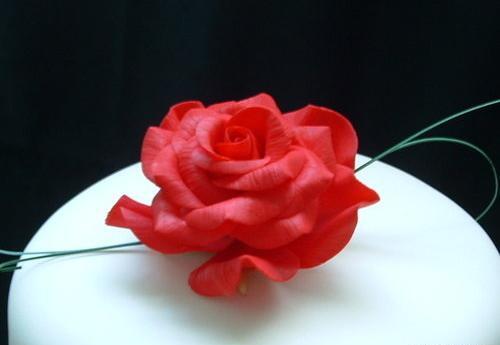 عکس گل رز چینی