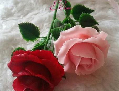 عکس گل رز چینی