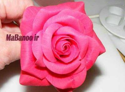 عکس گل رز چینی