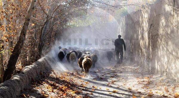 عکس مناظر ایران