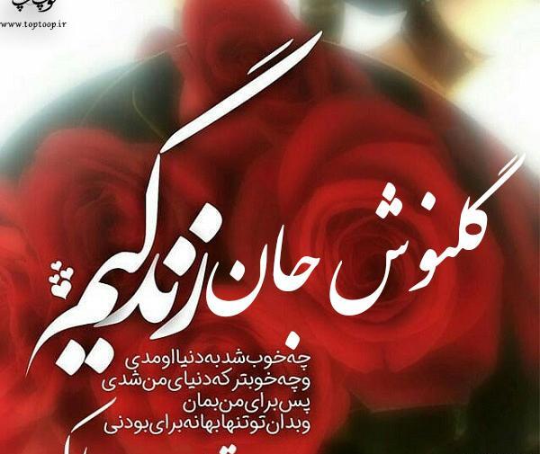عکس نوشته تولدت مبارک گلنوش