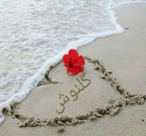 عکس نوشته تولدت مبارک گلنوش