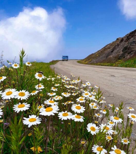 عکس پروفایل طبیعت روستایی