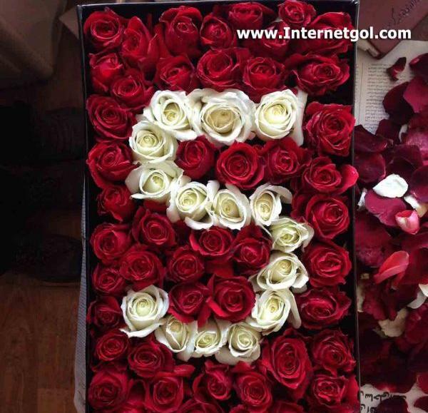 عکس گل رز با حرف s