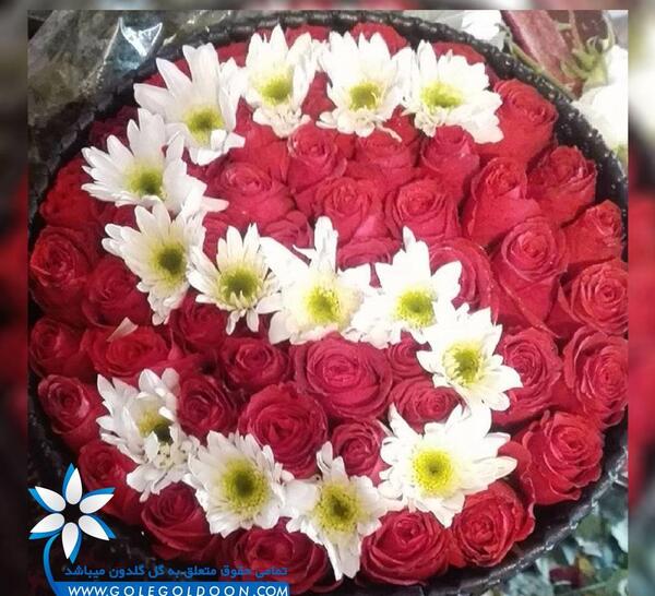 عکس گل رز با حرف s