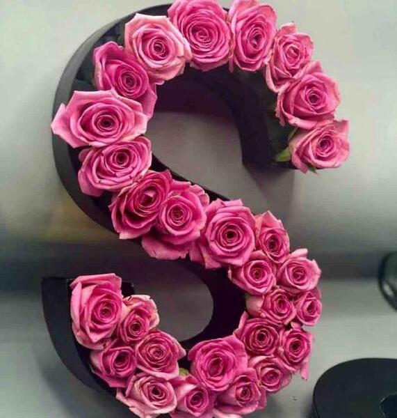 عکس گل رز با حرف s