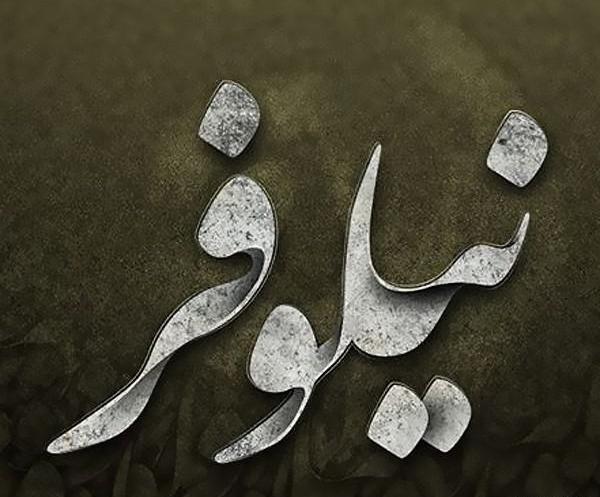 عکس نوشته ن مثل نیلوفر