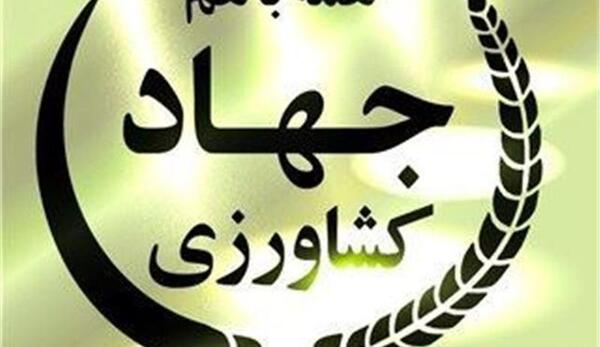 عکس محسن کشاورز
