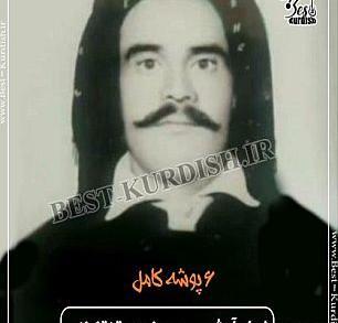 عکس صادق صفایی