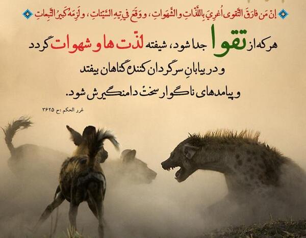 عکس نوشته احادیث قرآن