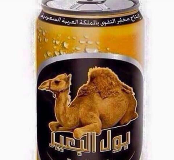 عکس قلب شتر
