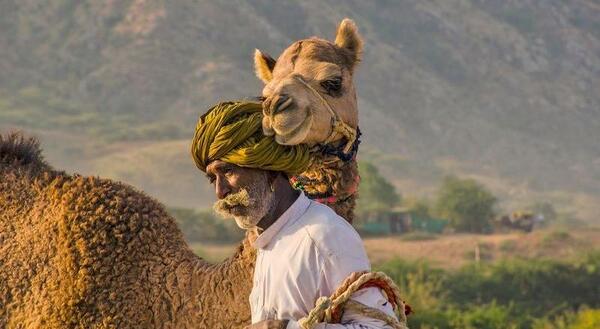 عکس قلب شتر