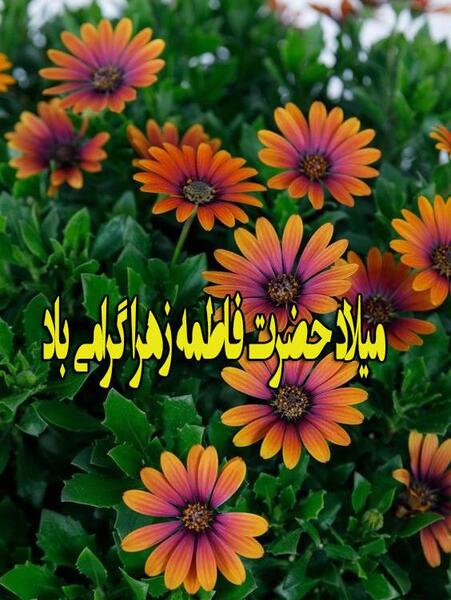عکس نوشته فاطمه تولدشه