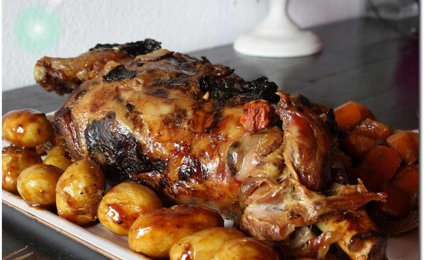 عکس غذا ژیگو