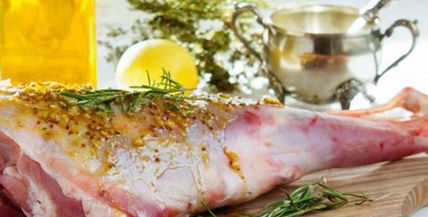 عکس غذا ژیگو