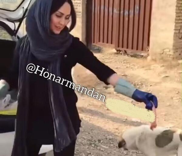 عکس غذا دادن به سگ
