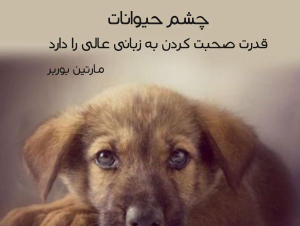 عکس نوشته در مورد قدرت