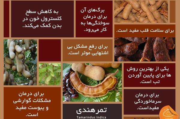 عکس لواشک تمر هندی