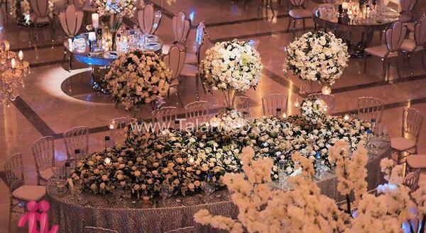 عکس دانیال زمانی