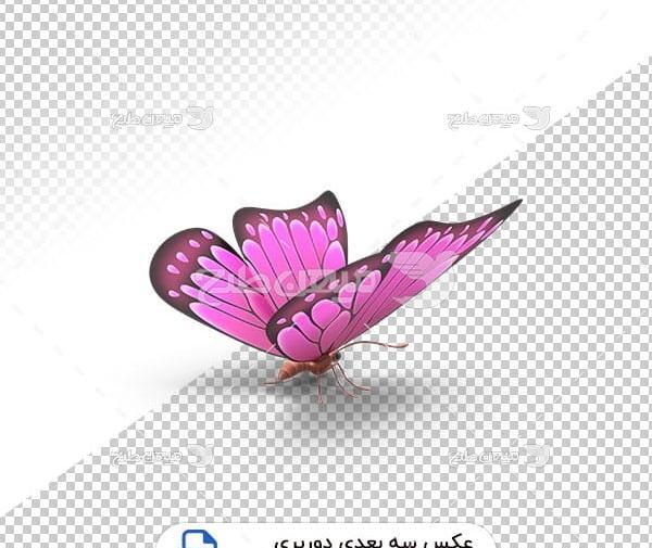 عکس سه بعدی پروانه