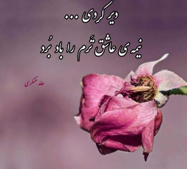 عکس نوشته های حامد عسکری
