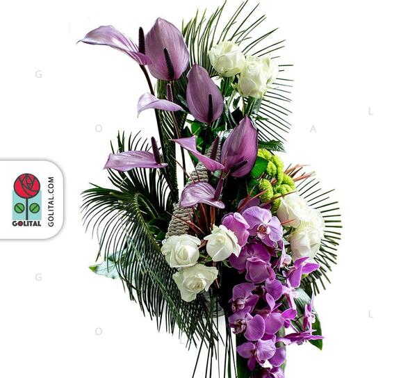 عکس گل چیچک