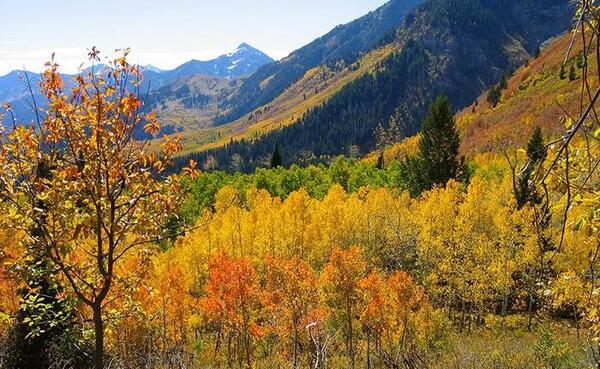 عکس تصاویر زیبا از طبیعت کوهستان