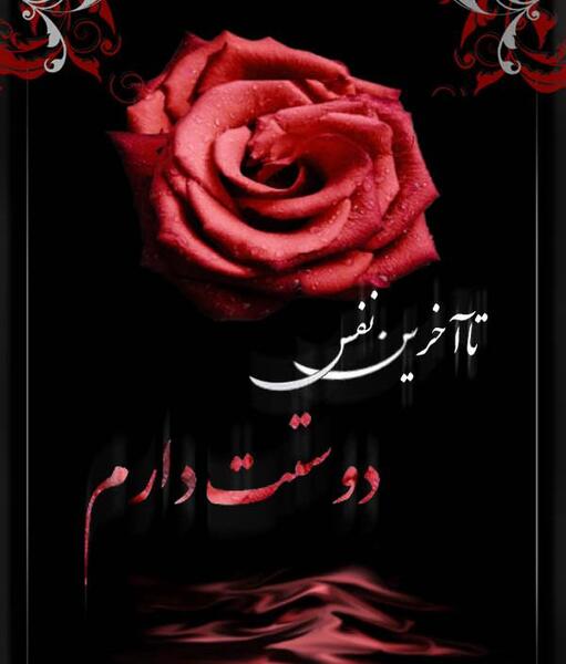 عکس دوستت دارم تا اخرین نفس