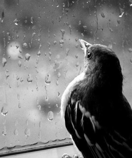 عکس نوشته غمگین هوای ابری