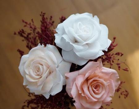 عکس گل طبیعی