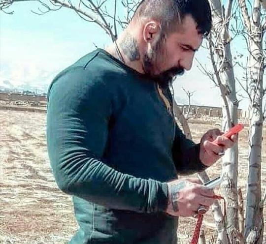 عکس های وحید مرادی
