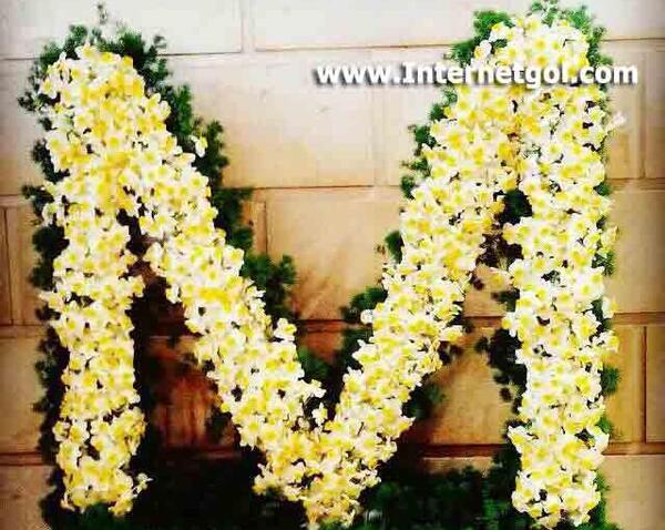 عکس یه سبد گل نرگس