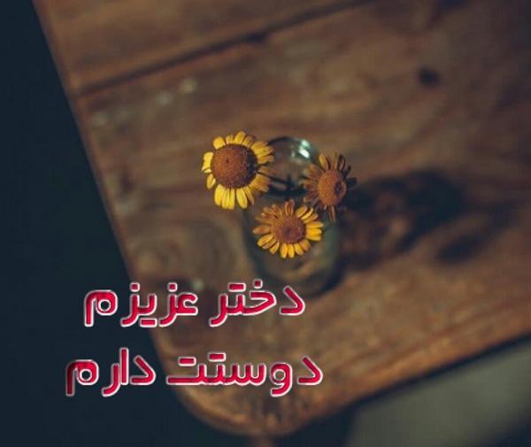 عکس گلم دوستت دارم
