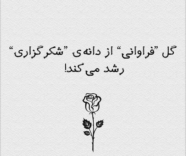 عکس نوشته ی تقدیر و تشکر