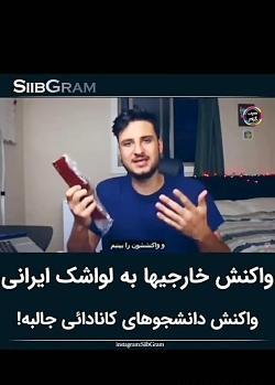 عکس لواشک ایرانی