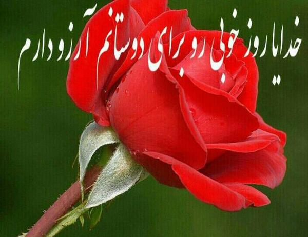 عکس خدایا حافظ عزیزانم باش