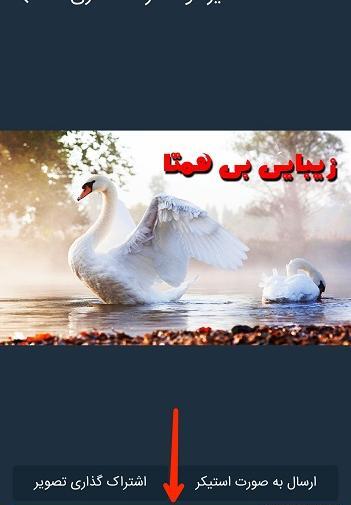 عکس نوشته ساز پیکتو