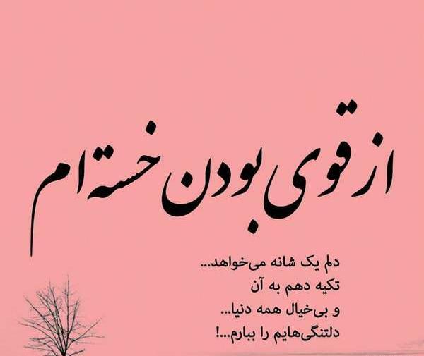 یک عکس زیبا برای واتساپ