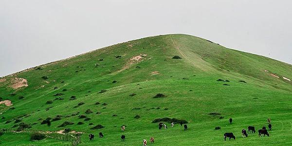 عکس پروفایل از طبیعت گیلان