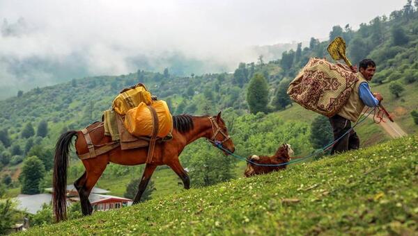 عکس پروفایل از طبیعت گیلان