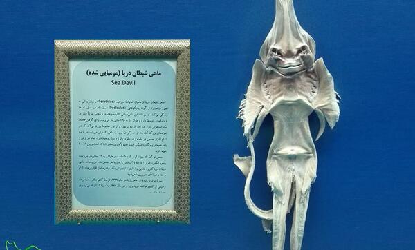 عکس شیطان دریا